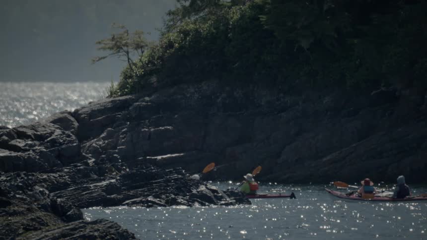 A group of people paddling kayaks heading into the ocean