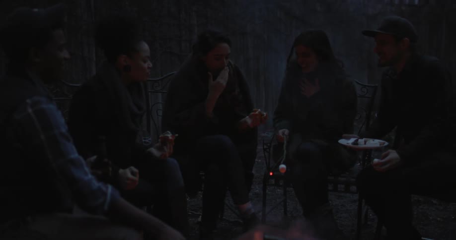 People are roasting marshmallows around a campfire