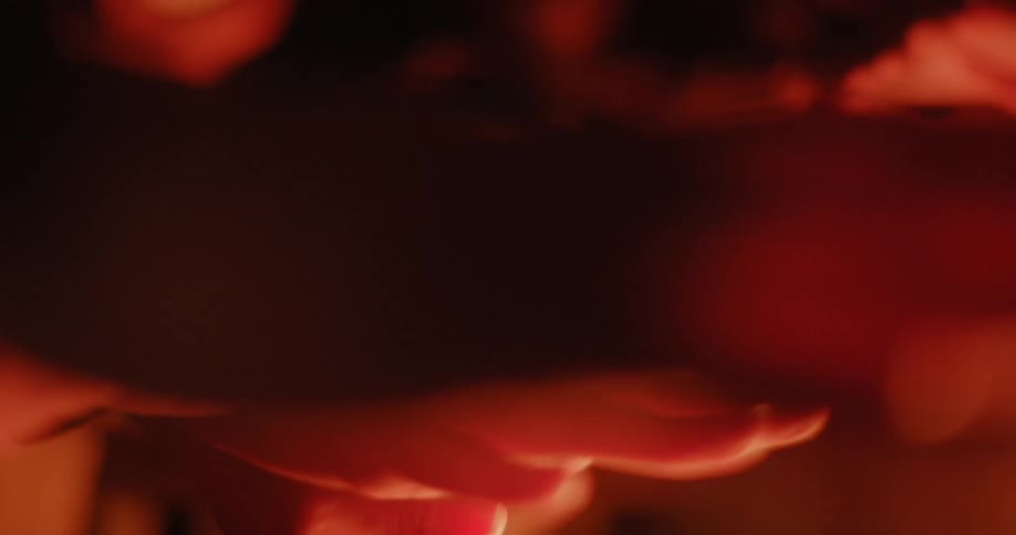 Several people warm their hands on a campfire at night