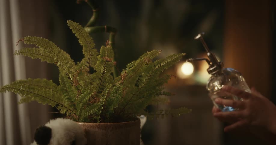 A girl watering a plant in a pot