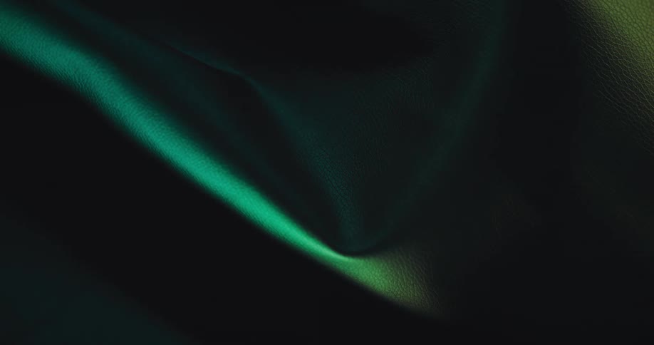 The fine details of the surface of a leatherlike material are illuminated