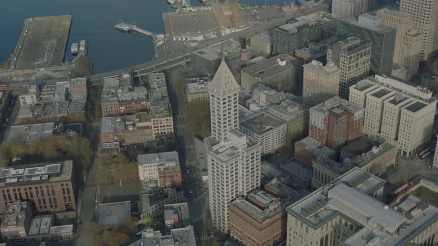 There are docks and tall buildings in this coastal city