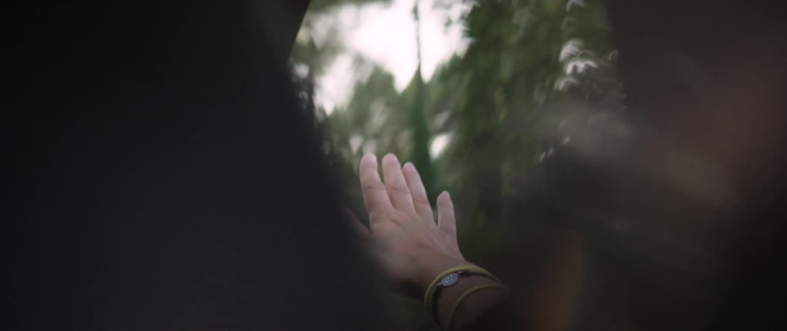 Hand waving out the window of a car driving near a forest