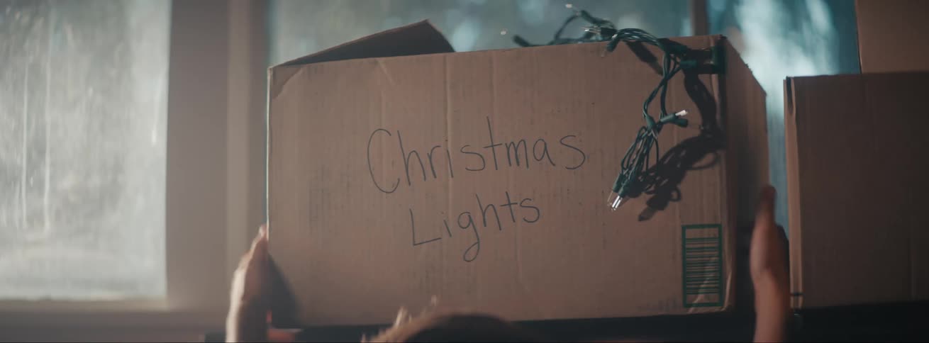 Person carries a carton filled with christmas lights