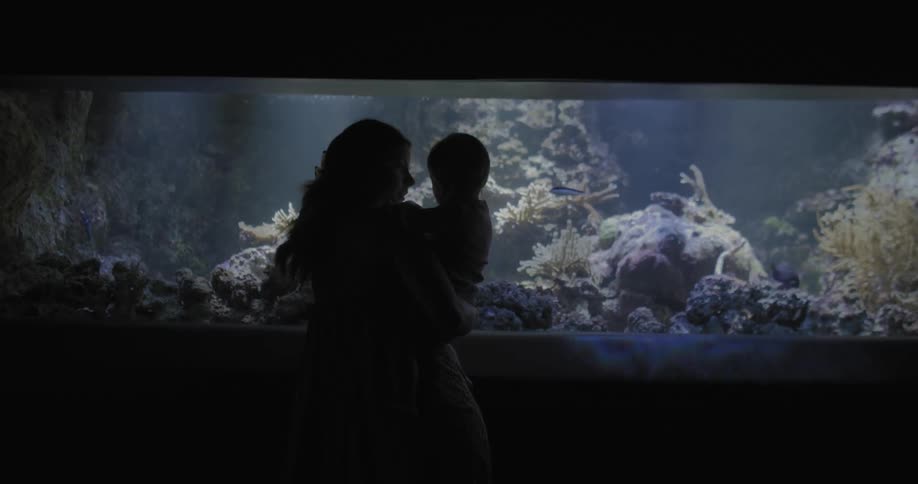 Mother and son stand in dimly lit area and watch large aquarium