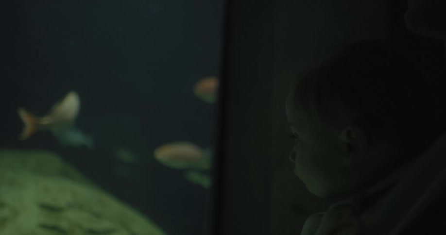Mother with her baby watching fish in an aquarium