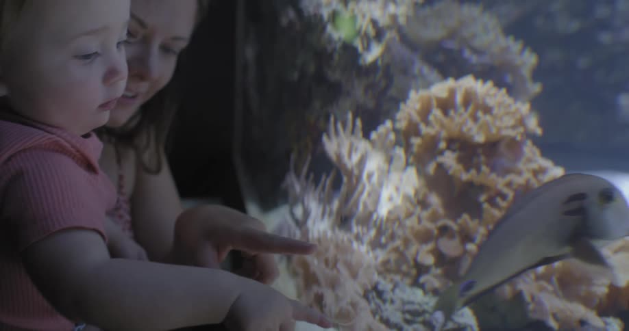 A mother and her young daughter are pointing at fish in an aquarium
