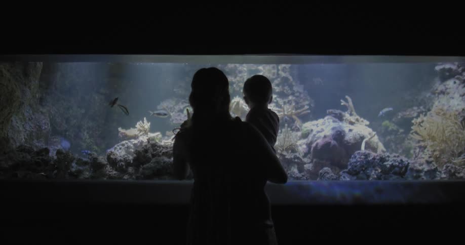 A woman silhouette with a child on her arm observing a fish aquarium