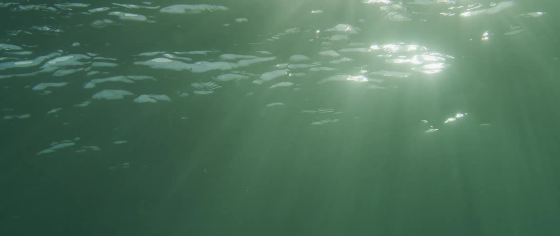 View from inside the sea with crystalclear water and reflections of sunlight