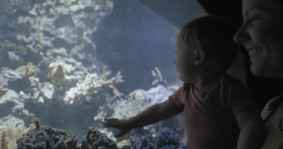 Woman holds toddler and smiles pointing at aquarium sea life