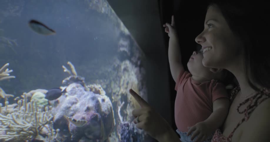 Mother holding her daughter in her arms and observing fish in an aquarium