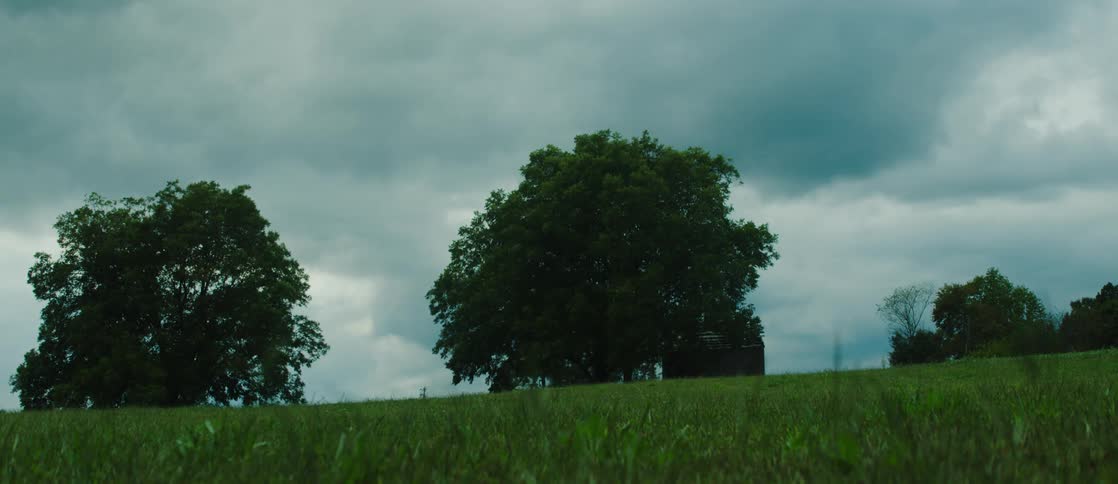 Down the field are a few trees