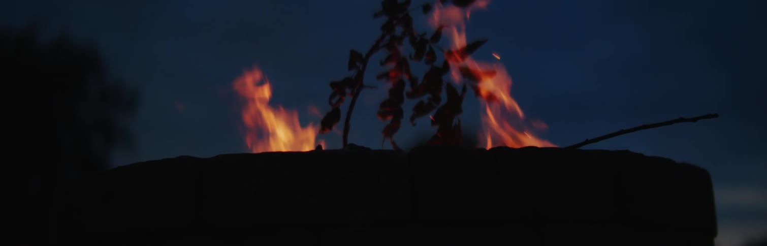 Fire burning a branch with leaves