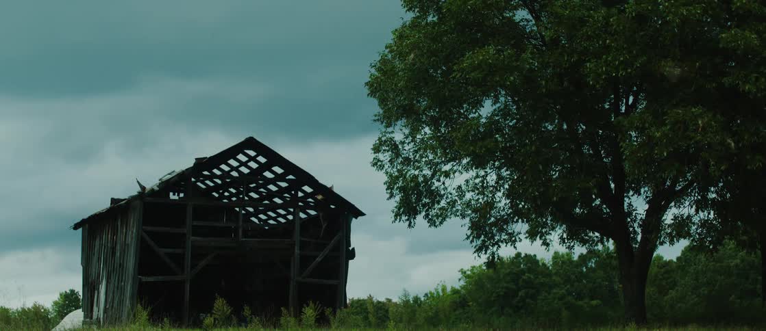 A shack falling apart next to a tree