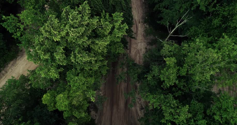 Aerial of moving motorcycle on a sandy road with trees on both sides at midday