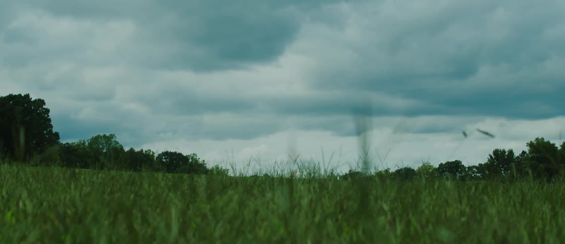 Grassy meadow with cloudy sky during the day