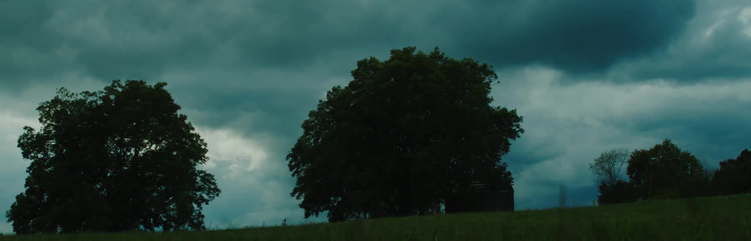 Trees under a cloudy sky at sunset