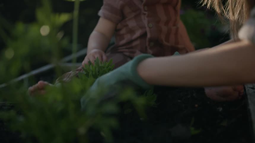 Mother wearing gloves and fertilizing a plant with her baby daughter sitting beside her