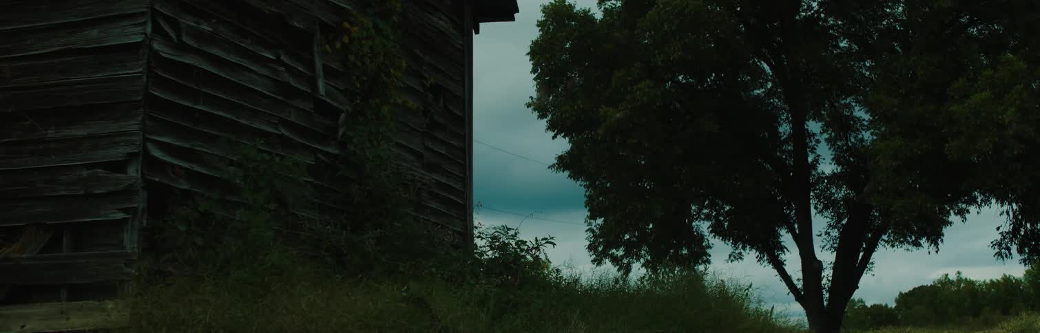 A large tree is near the shelter in the woods
