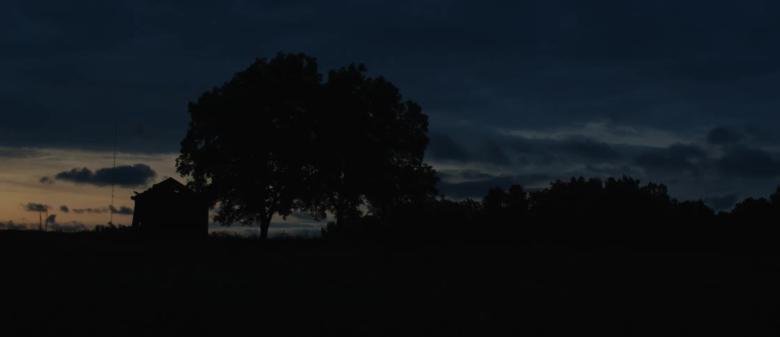 Silhouette of a tree and a wooden shack in the countryside at evening
