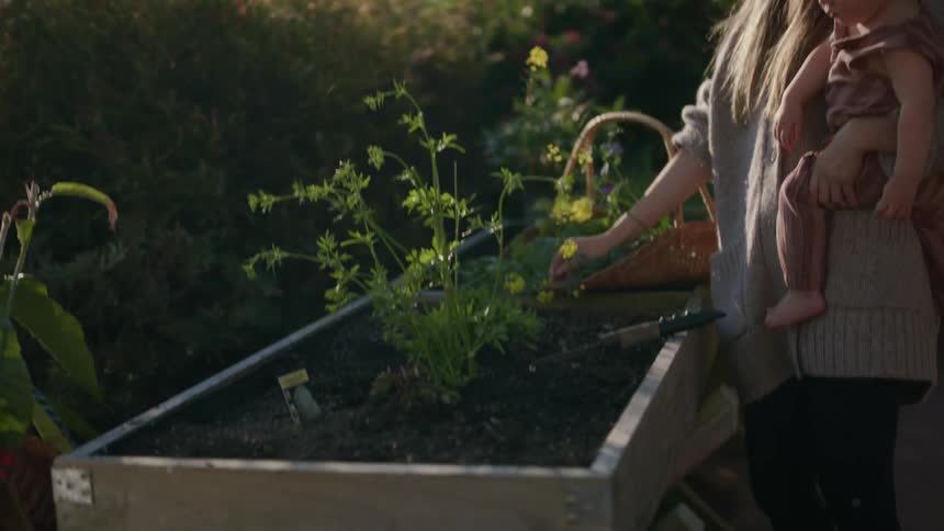 A woman with a baby picking flowers