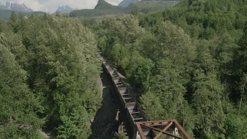 A freight train traveling into thick woods with mountains in the  distance