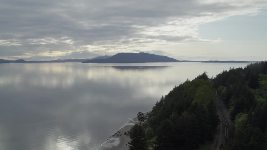 The San Juan Islands peek out from behind a coastal forest hillside