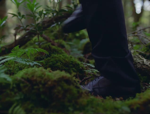 A man wearing dress shoes carefully walks through a forest