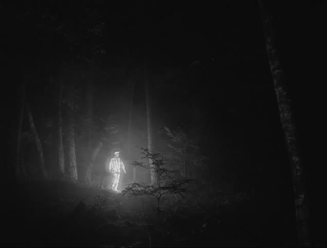 A strange figure that is glowing brightly walks through a forest at night