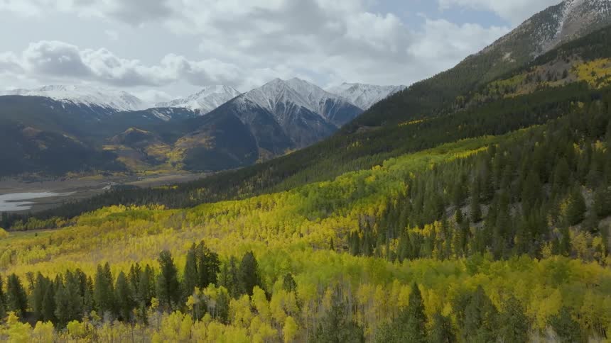 A region with many forests and in the background there are huge mountains with snowcapped peaks