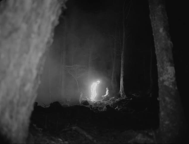 A luminous man touching a womans head in a forest at night