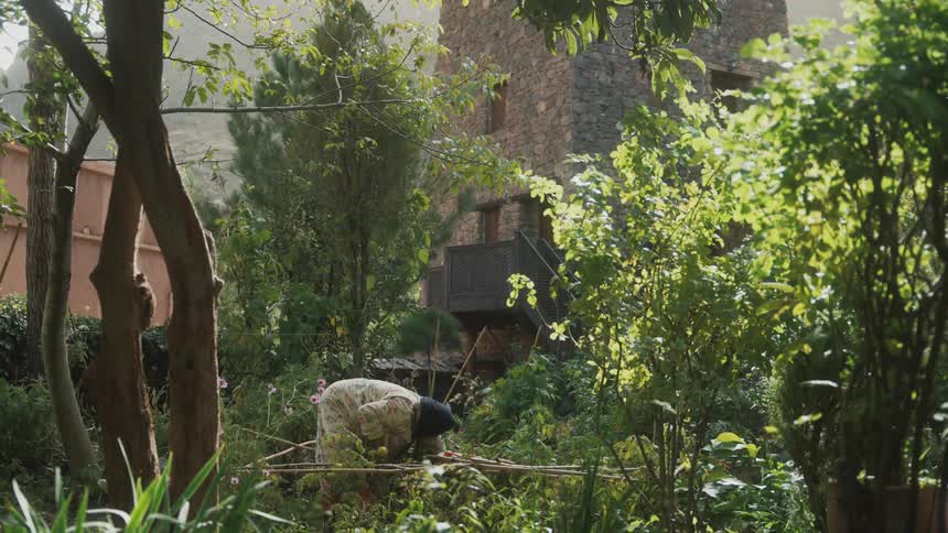 An elderly woman planting in a garden during the day