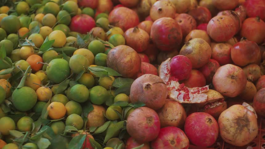 A large pile of pomegranates are next to small oranges
