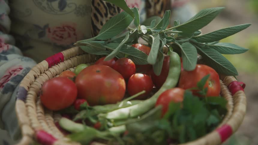 Person holding a basket with vegetables