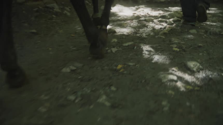 Closeup of a horses hooves while walking