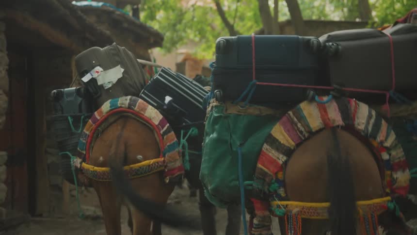 Man guiding two horses carrying luggage in the midst of a village