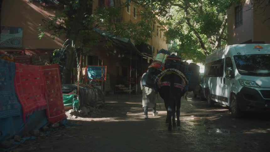 Horse carrying bags and being led by a person in the middle of a neighborhood