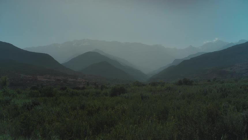 A large field of tall grass and high mountains in the background
