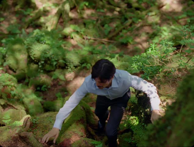A man is searching through the woods