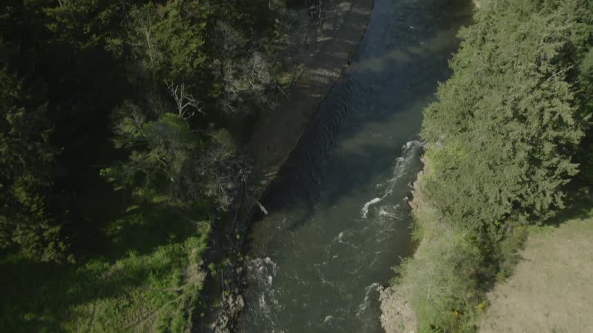 Tilting down from a forest landscape to reveal a pipeline crossing a narrow river