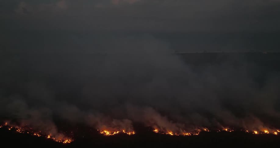 Wild fire burning in the area as smokes cover the sky in the night