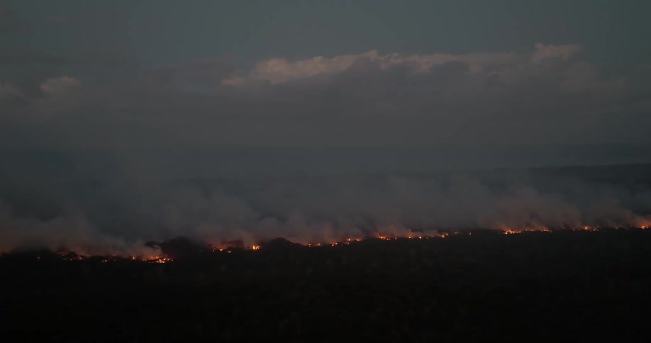 Aerial of a burning forest with clouds of smoke