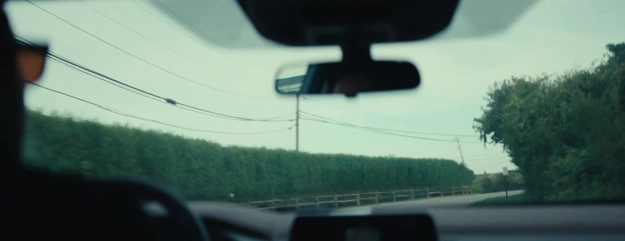 A view from inside a car where it is driving down the street and on the sides there are several trees and plants
