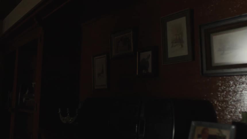 A wall with some picture frames hanging and a large shadow passing by