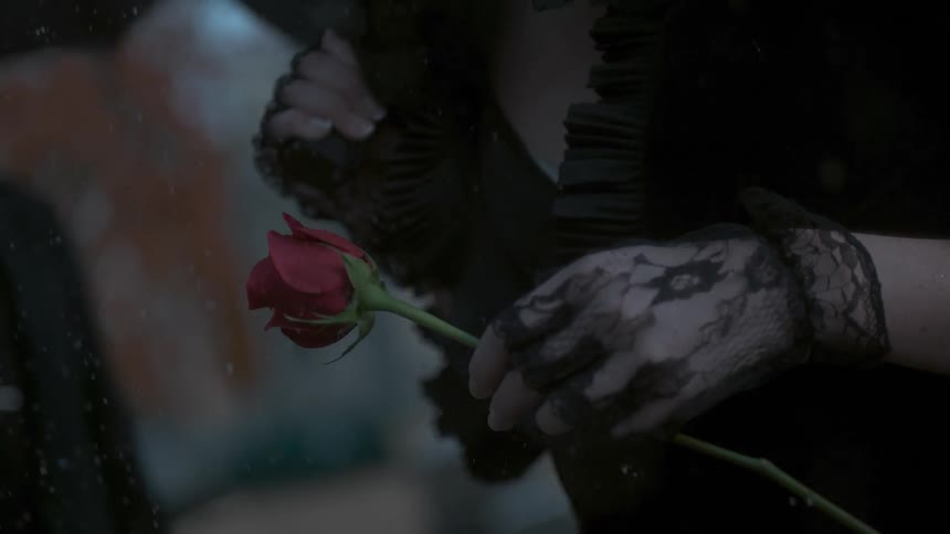 A mourning woman drops a red rose in the rain