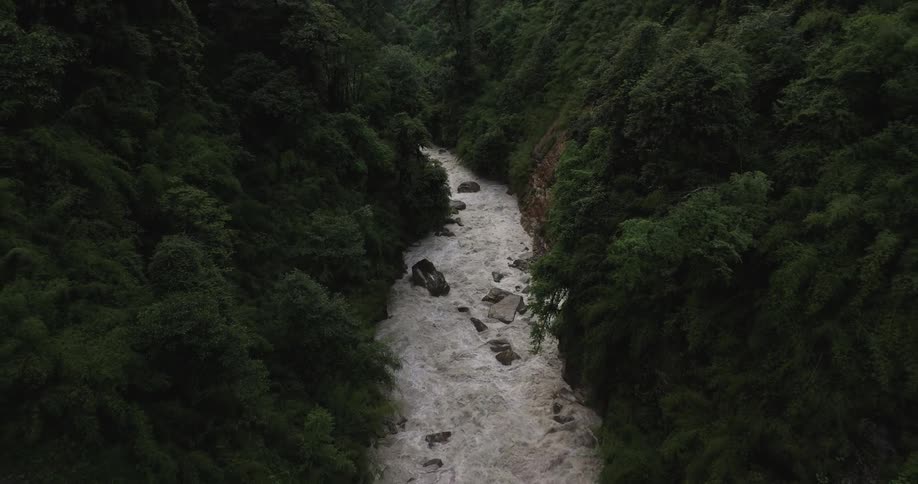 An aerial view of a river in the forest