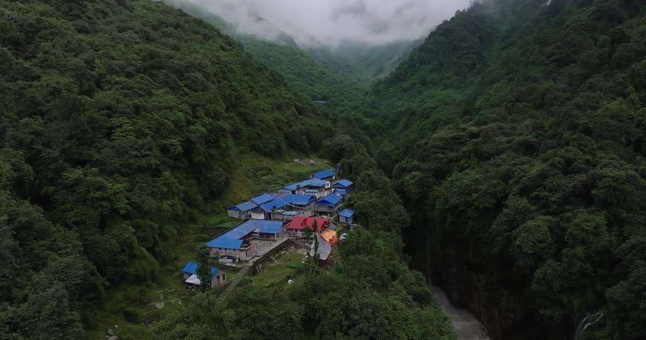 An aerial view of a forest community