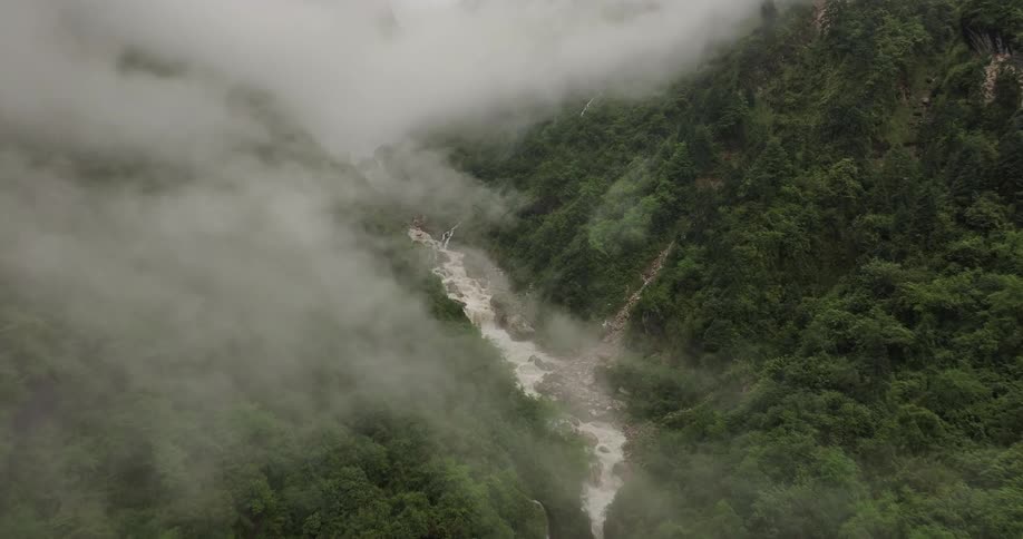 An aerial view of the forest river