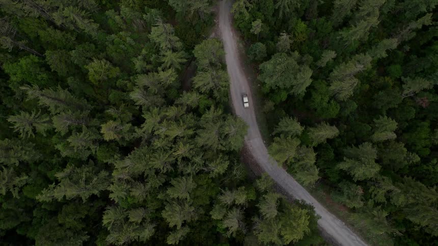 Aerial panorama of a vehicle passing on a narrow road through a forest