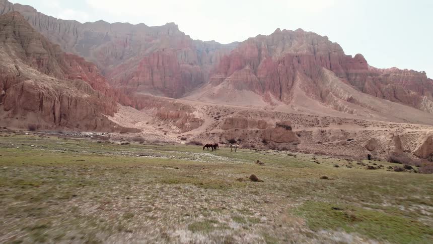 Horses graze near foot of mountains as person walks past